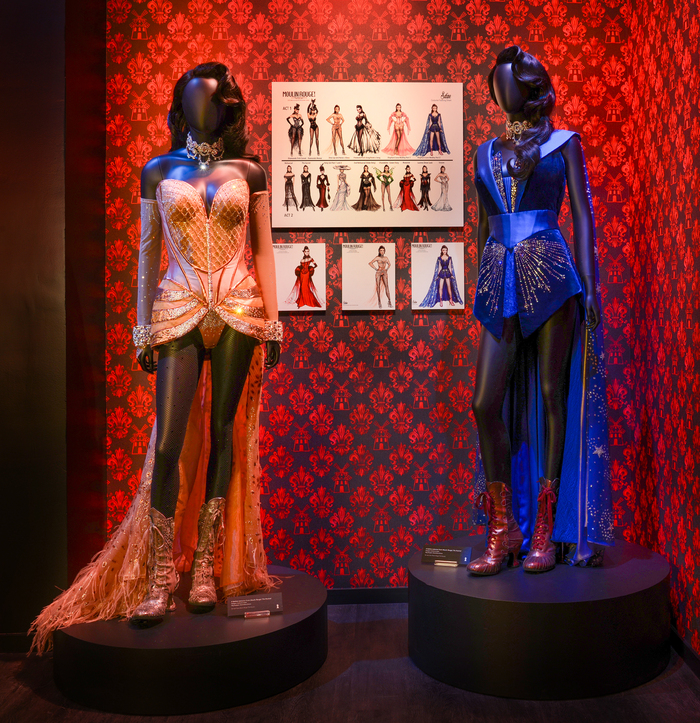 Photos: Inside the MOULIN ROUGE! Exhibit at the Museum of Broadway Image