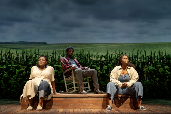 Photos: First Look At HOME On Broadway, Directed By Kenny Leon Image