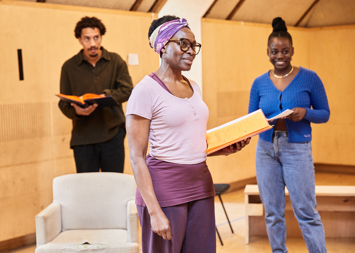 Photos: Inside Rehearsal For MY FATHER'S FABLE at the Bush Theatre Image