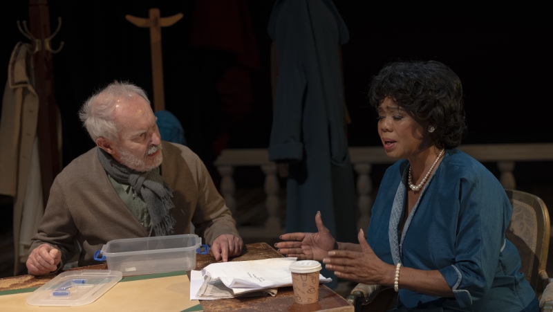 Review: TROUBLE IN MIND at the Flipside Provides Hilarious and Tragic Social Commentary Image