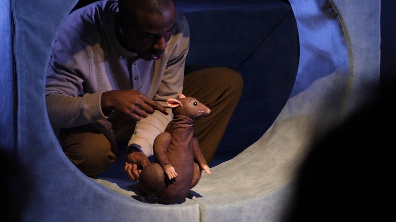 VIDEO: First Look at THE CURIOUS RAT at the Little Angel Studio Image