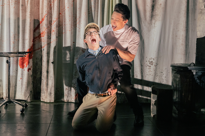Photos: See Sarah Hyland & Andrew Barth Feldman in LITTLE SHOP OF HORRORS Image