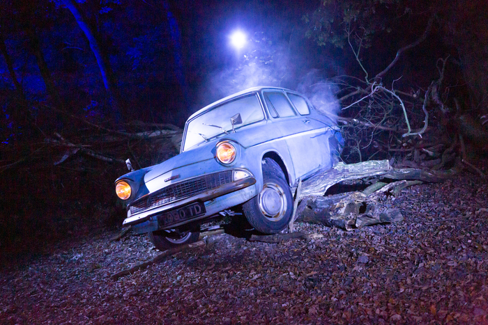 Review: HARRY POTTER: A FORBIDDEN FOREST EXPERIENCE at The Briars Community Forest Image