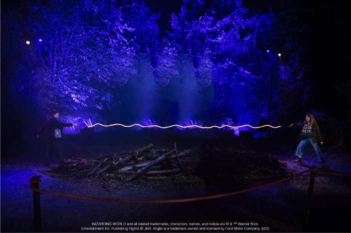 Review: HARRY POTTER: A FORBIDDEN FOREST EXPERIENCE at The Briars Community Forest Image