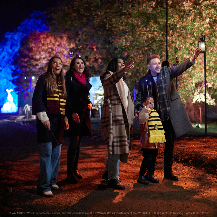 Review: HARRY POTTER: A FORBIDDEN FOREST EXPERIENCE at The Briars Community Forest Image