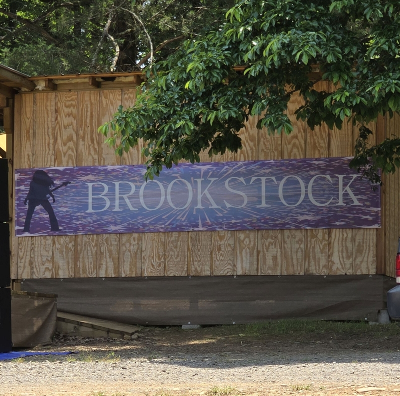 Review: DONNIE LEE STRICKLAND at Brookstock Events  Image