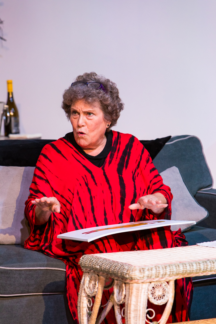 Photos: First Look at LOVE, LOSS, AND WHAT I WORE at On the Verge Theatre Image