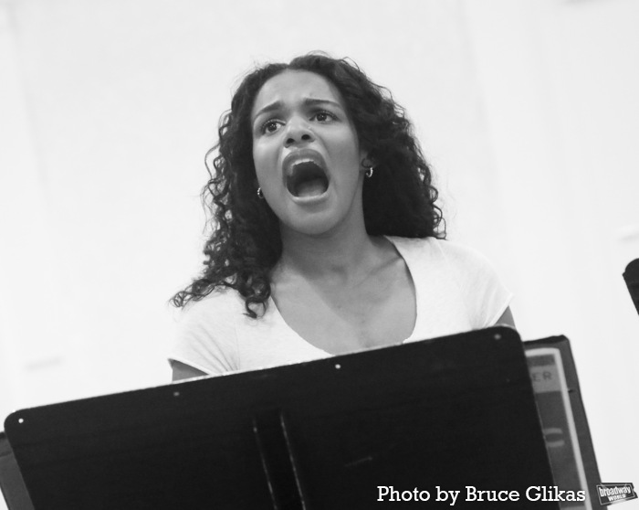 Photos: The Cast of Encores! TITANIC Meets the Press Image
