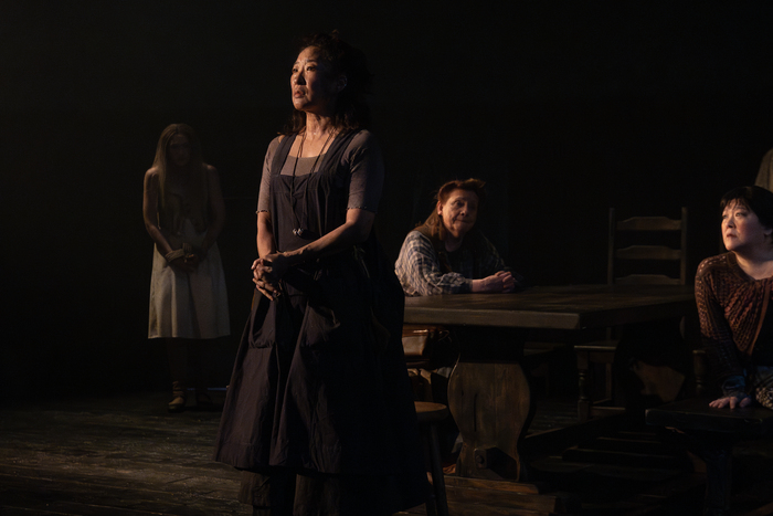 Photos: First Look at Sandra Oh & More in THE WELKIN Image