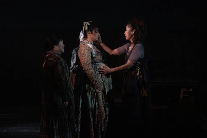 Photos: First Look at Sandra Oh & More in THE WELKIN Image