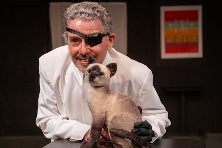 Review: THE SPY WHO WENT INTO REHAB at Pacific Resident Theatre  Image