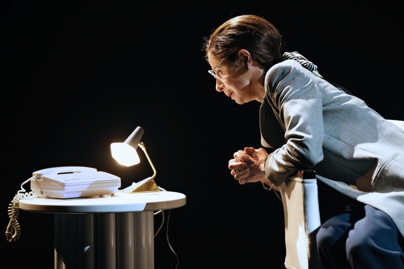 Review: RBG: OF MANY, ONE at State Theatre Centre Image