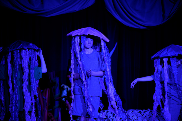 Photos: First Look At FINDING NEMO, JR. At Victoria Players Children's Theater Image