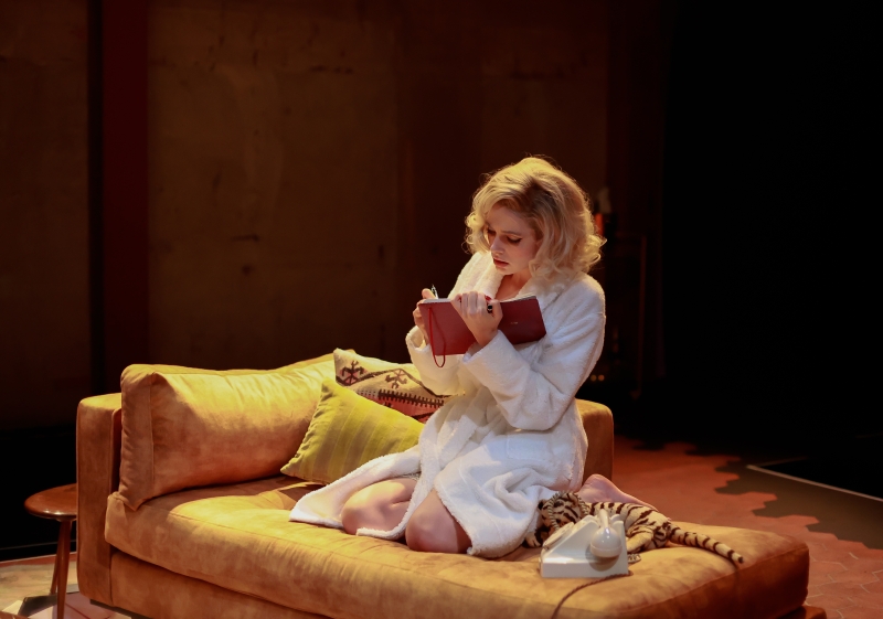 Review: THE MARYLIN CONSPIRACY, Park Theatre Image