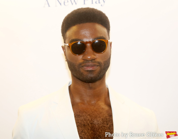 Photos: On the Red Carpet at Opening Night of N/A Image