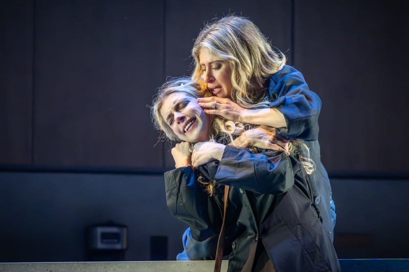 Review: NEXT TO NORMAL, Wyndham's Theatre Image