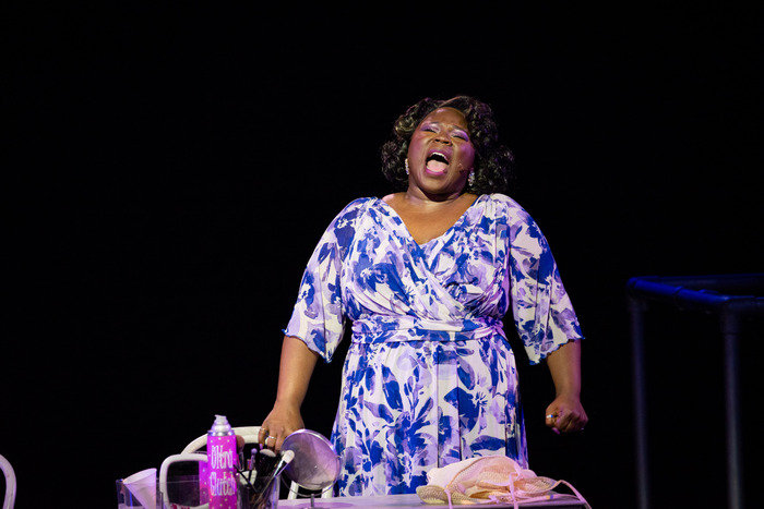 Photos: Get a First Look at DREAMGIRLS at The Muny Image