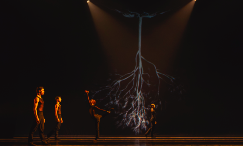 Review: The Elements 2 Evening Of Choreography  Image