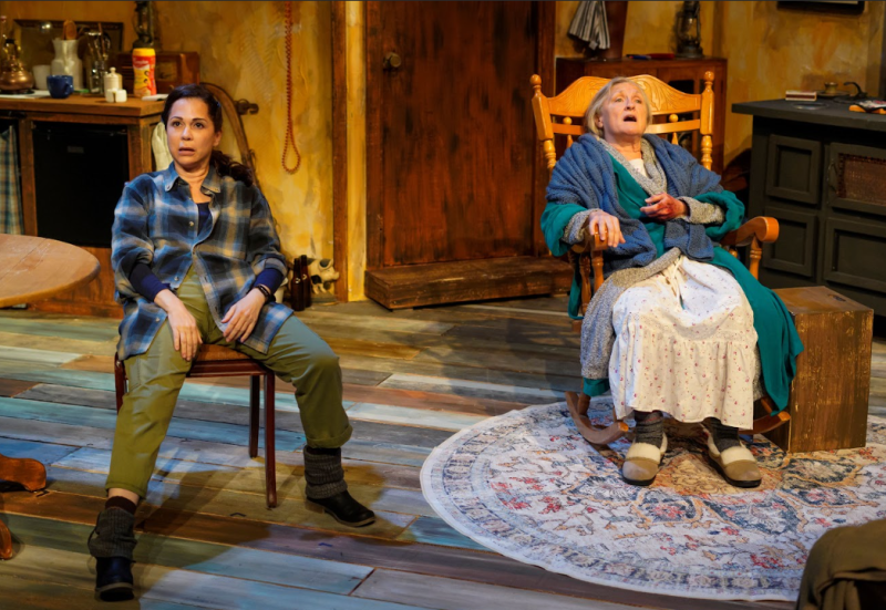 Review: THE BEAUTY QUEEN OF LEENANE at Backyard Renaissance  Image