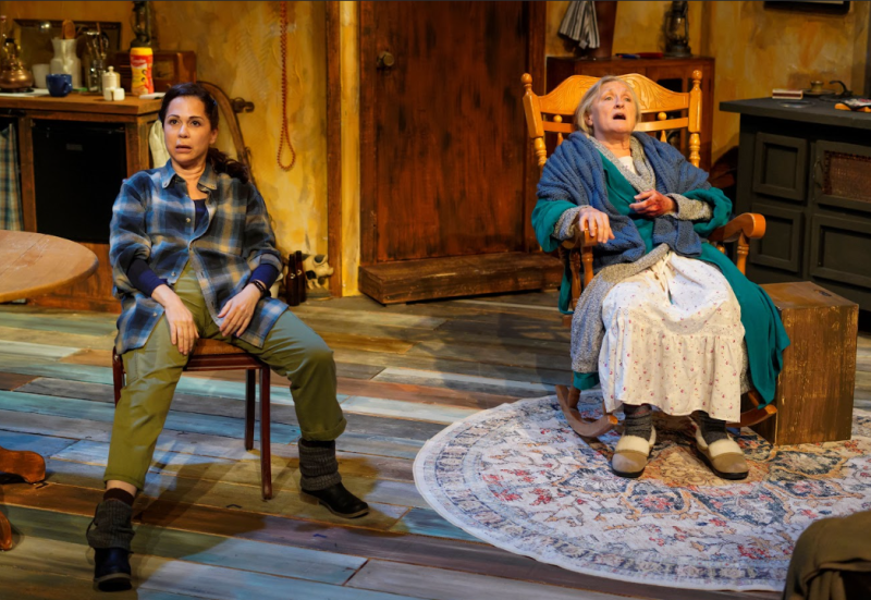 Review: THE BEAUTY QUEEN OF LEENANE at Backyard Renaissance Image