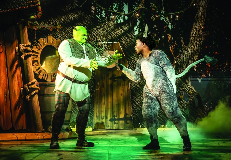 Shrek The Musical Image