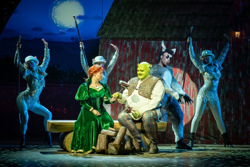 Shrek The Musical Image