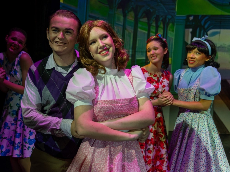 Review: BYE BYE BIRDIE at Palm Canyon Theatre  Image