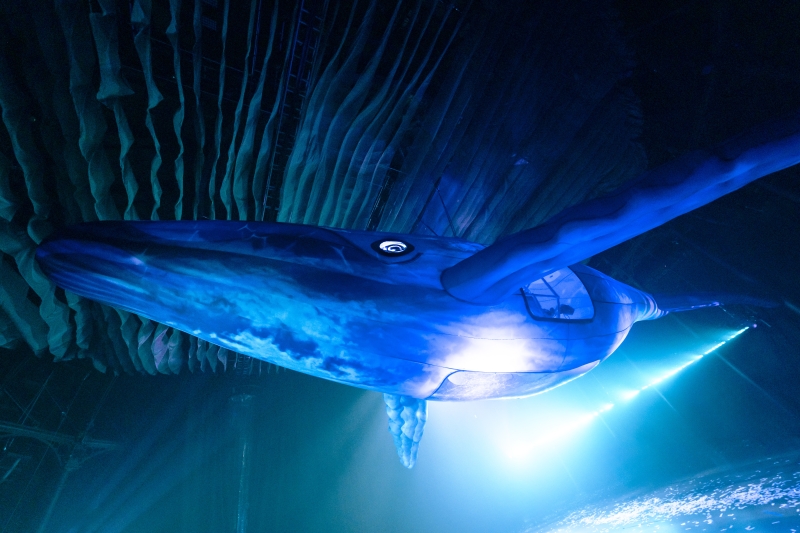 Review: FUERZA BRUTA: AVEN, The Roundhouse Image