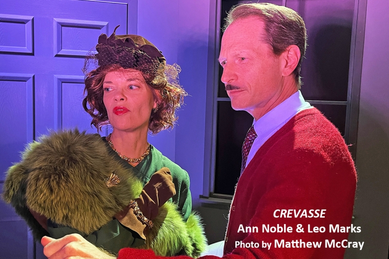 Interview: Playwright Tom Jacobson World Premieres THE BAUHAUS PROJECT Part 1 & Part 2 & CREVASSE at 3 L.A. Theatre Companies Image