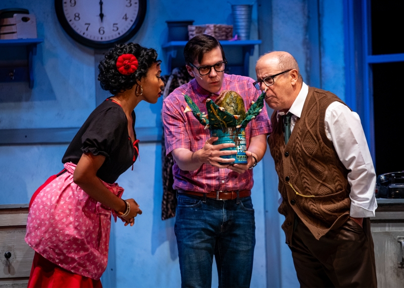 Review: LITTLE SHOP OF HORRORS at Garden Theatre  Image