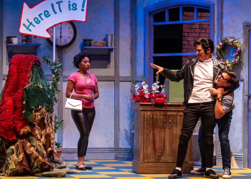 Review: LITTLE SHOP OF HORRORS at Garden Theatre  Image