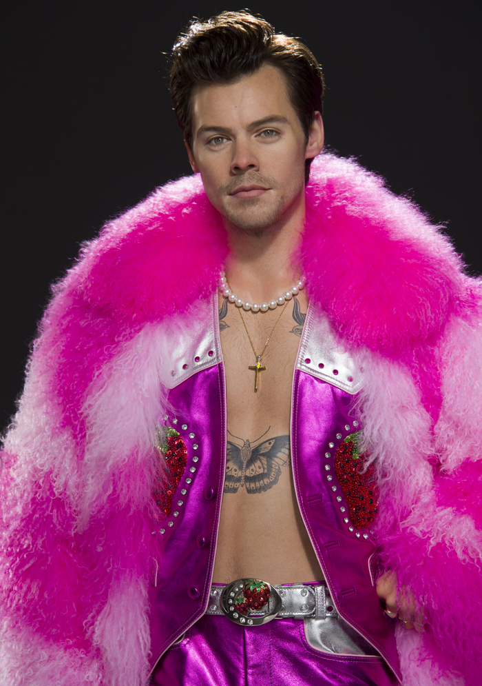 Photos: Harry Styles Wax Figure Unveiled at Madame Tussauds Nashville Image