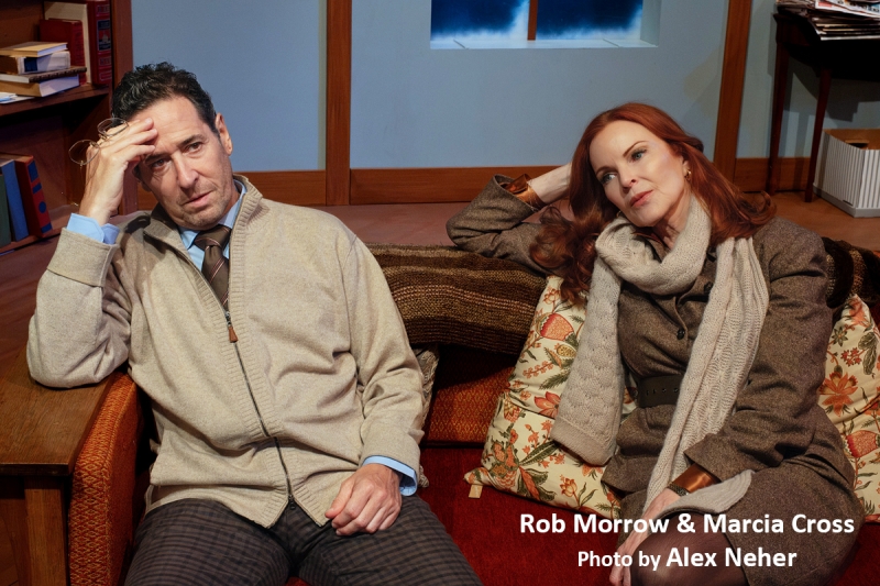 Interview: Marcia Cross' The Substance in THE SUBSTANCE OF FIRE Image