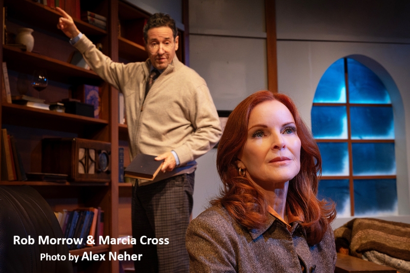 Interview: Marcia Cross' The Substance in THE SUBSTANCE OF FIRE Image