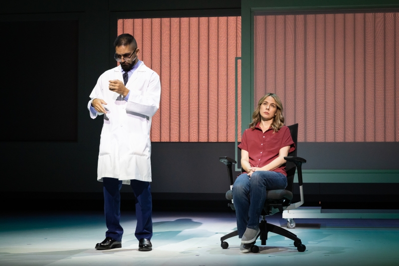 Review: NEXT TO NORMAL at Houston Broadway Theatre  Image