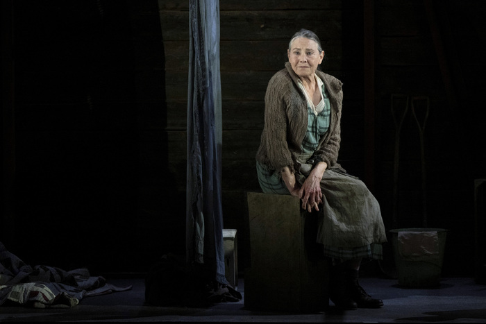 Photos: Cherry Jones, Harry Treadaway & More in THE GRAPES OF WRATH at the National Theatre  Image