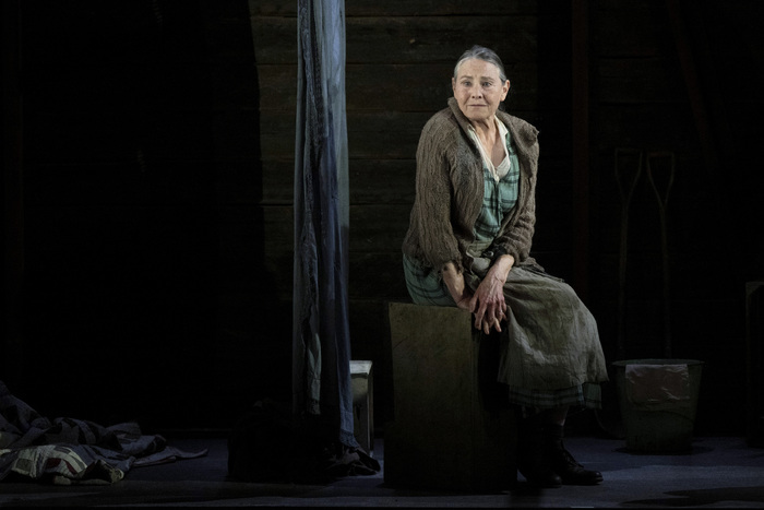 Photos: Cherry Jones, Harry Treadaway & More in THE GRAPES OF WRATH at the National Theatre Image