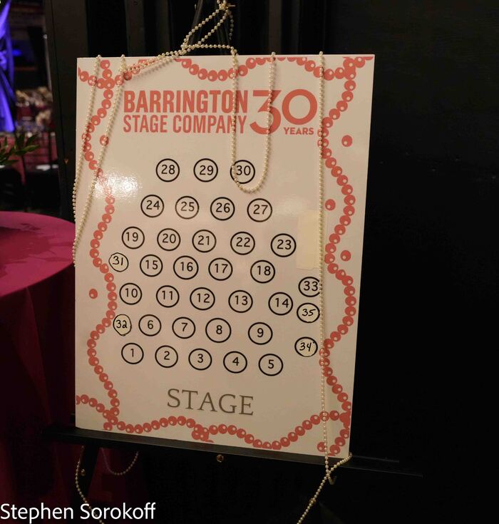 Photos: Inside The Barrington Stage Co. 30th Anniversary Celebration Image