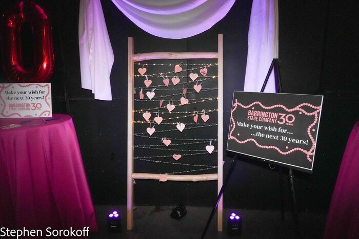 Photos: Inside The Barrington Stage Co. 30th Anniversary Celebration  Image