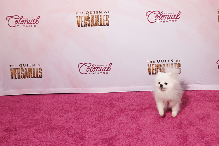 Photos: Kristin Chenoweth & More at THE QUEEN OF VERSAILLES Opening Night  Image