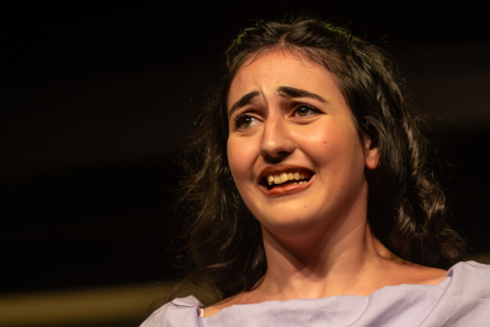 Photos: First look at Little Theatre Off Broadway's MOON OVER BUFFALO  Image