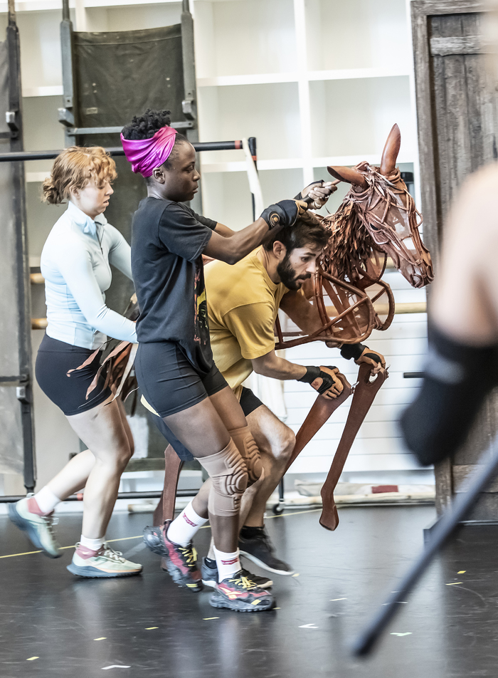 Photos: WAR HORSE UK and Ireland Tour in Rehearsal Image
