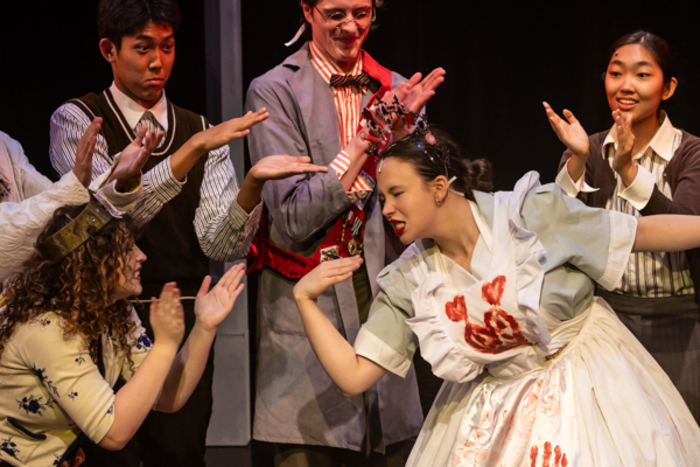 Photos: First look at Abby Theatre of Dublin presents Alice by Heart  Image