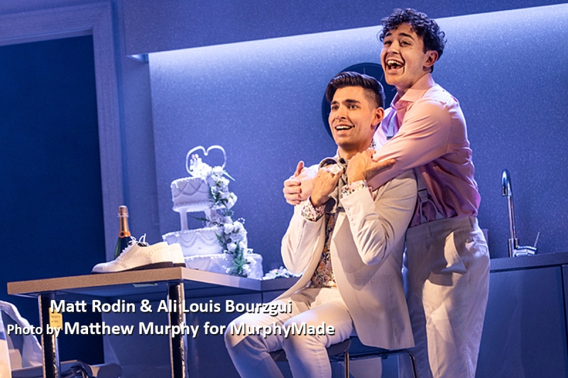 Interview: Matt Rodin Got Married, But Is Not Getting Married in COMPANY Every Night at the Pantages Image