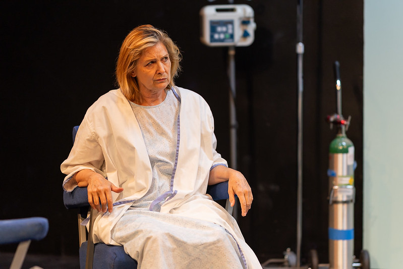 Review: FLIGHT OF THE MONARCH at Shakespeare & Company Image