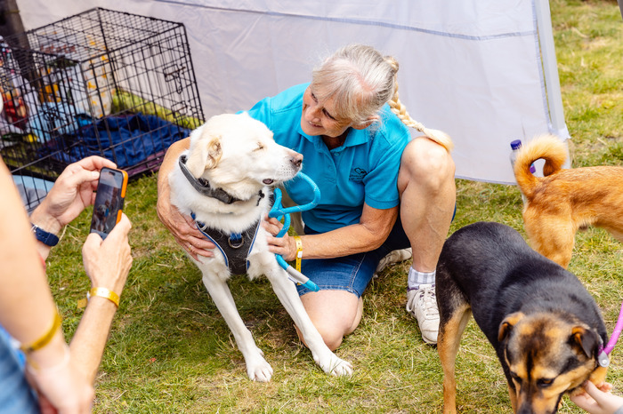 Photos: Bernadette Peters, Elaine Paige, and More at WEST END WOOFS (AND MEOWS)  Image