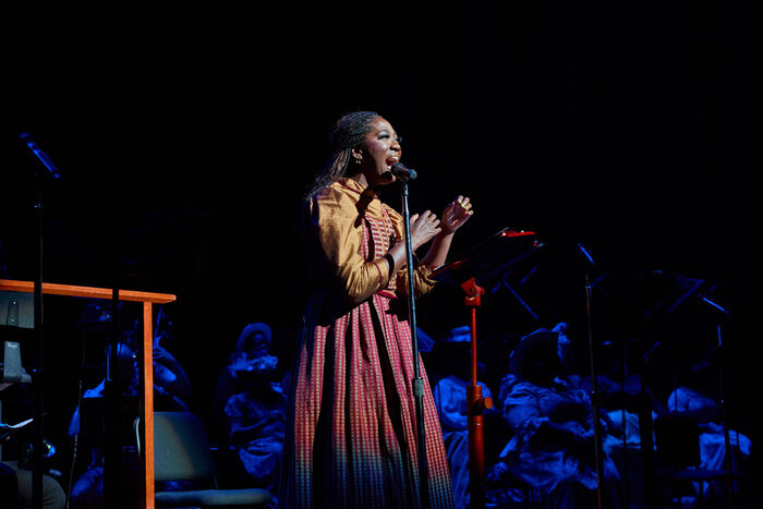 Photo/Video: First Look at Amber Iman in HELLO, DOLLY! at Arkansas Rep Image