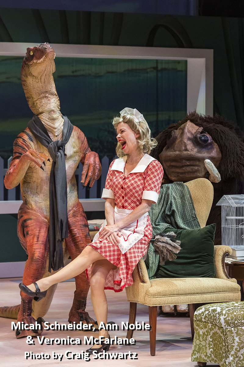 Interview: Ann Noble's Always Multitasking By THE SKIN OF HER TEETH Image