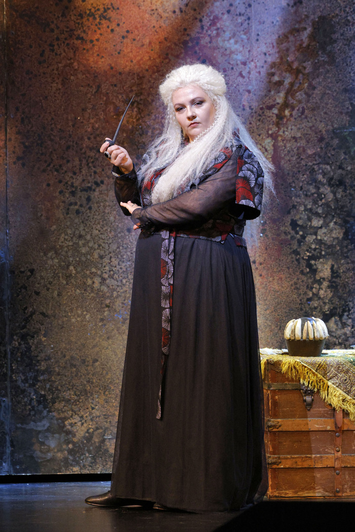Photos: UN BALLO IN MASCHERA at San Francisco Opera Image