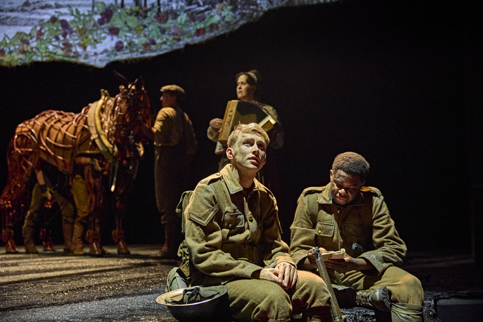 Photos: UK and Ireland Tour of WAR HORSE  Image